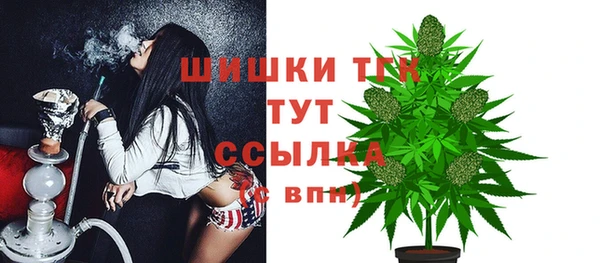 мет Николаевск-на-Амуре