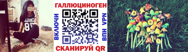 Галлюциногенные грибы Psilocybine cubensis Уссурийск