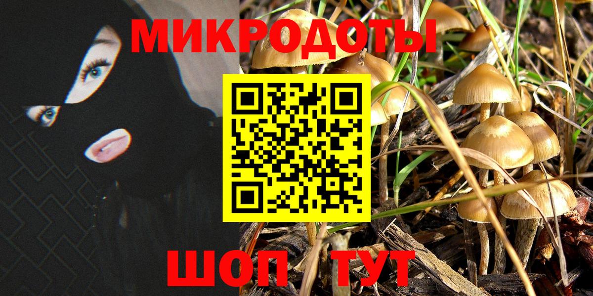 купить   Псилоцибиновые грибы Psilocybine cubensis  Уссурийск  Галлюциногенные грибы прущие грибы 